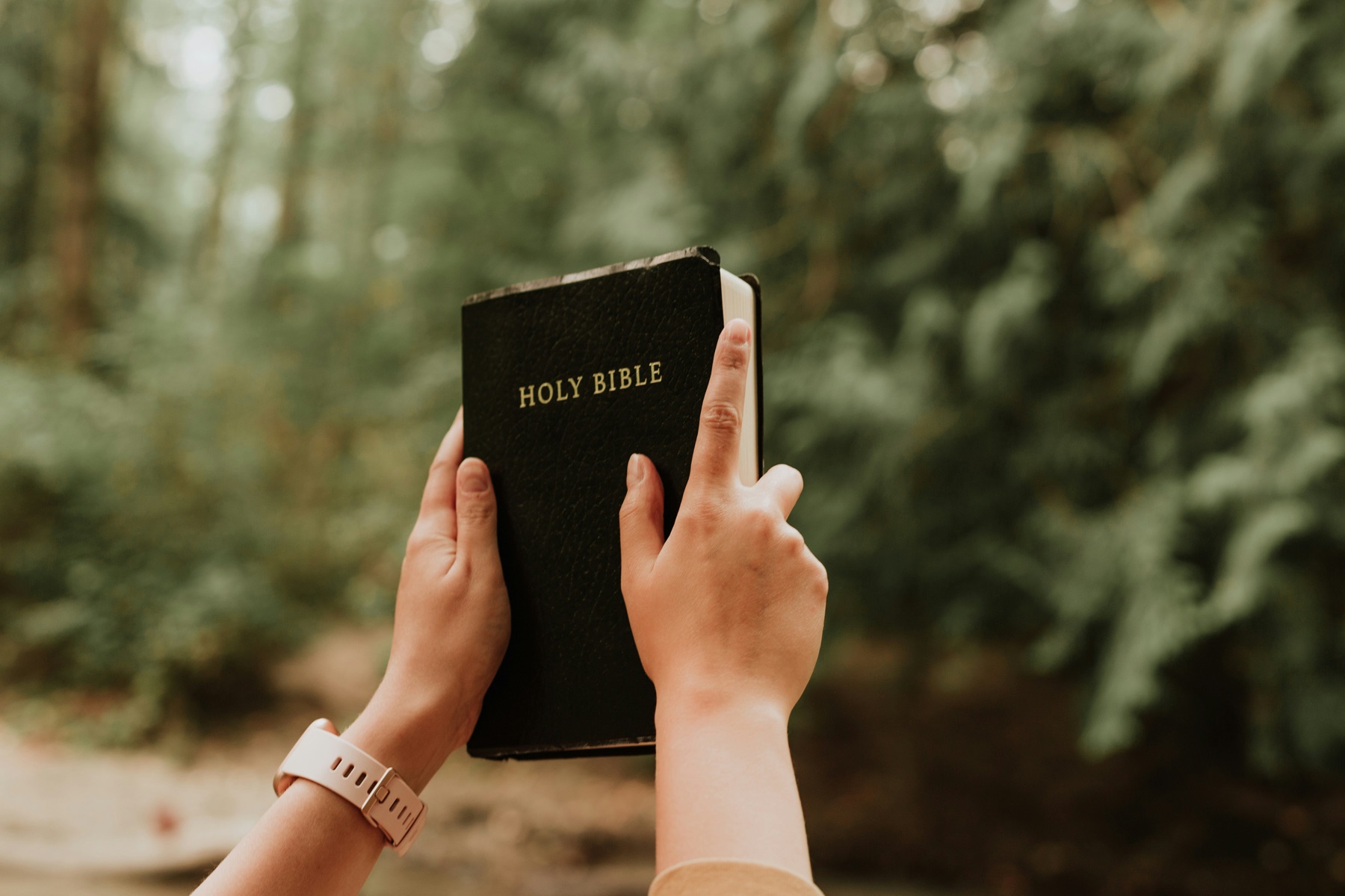 A Bible held outdoors in nature.