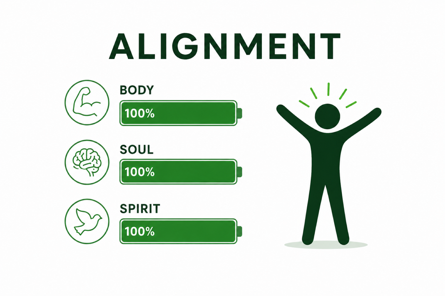 Alignment example showing Body, Soul and Spirit at full strength.