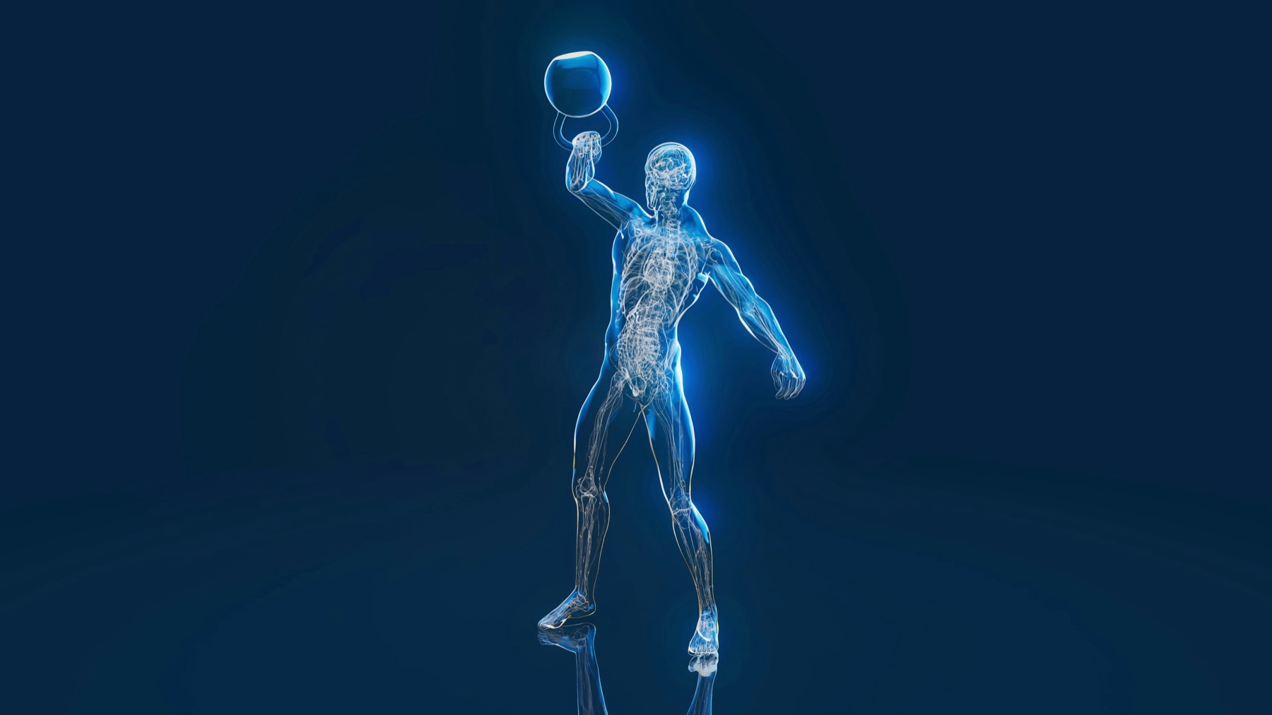 A digital human body showing physical vitality.
